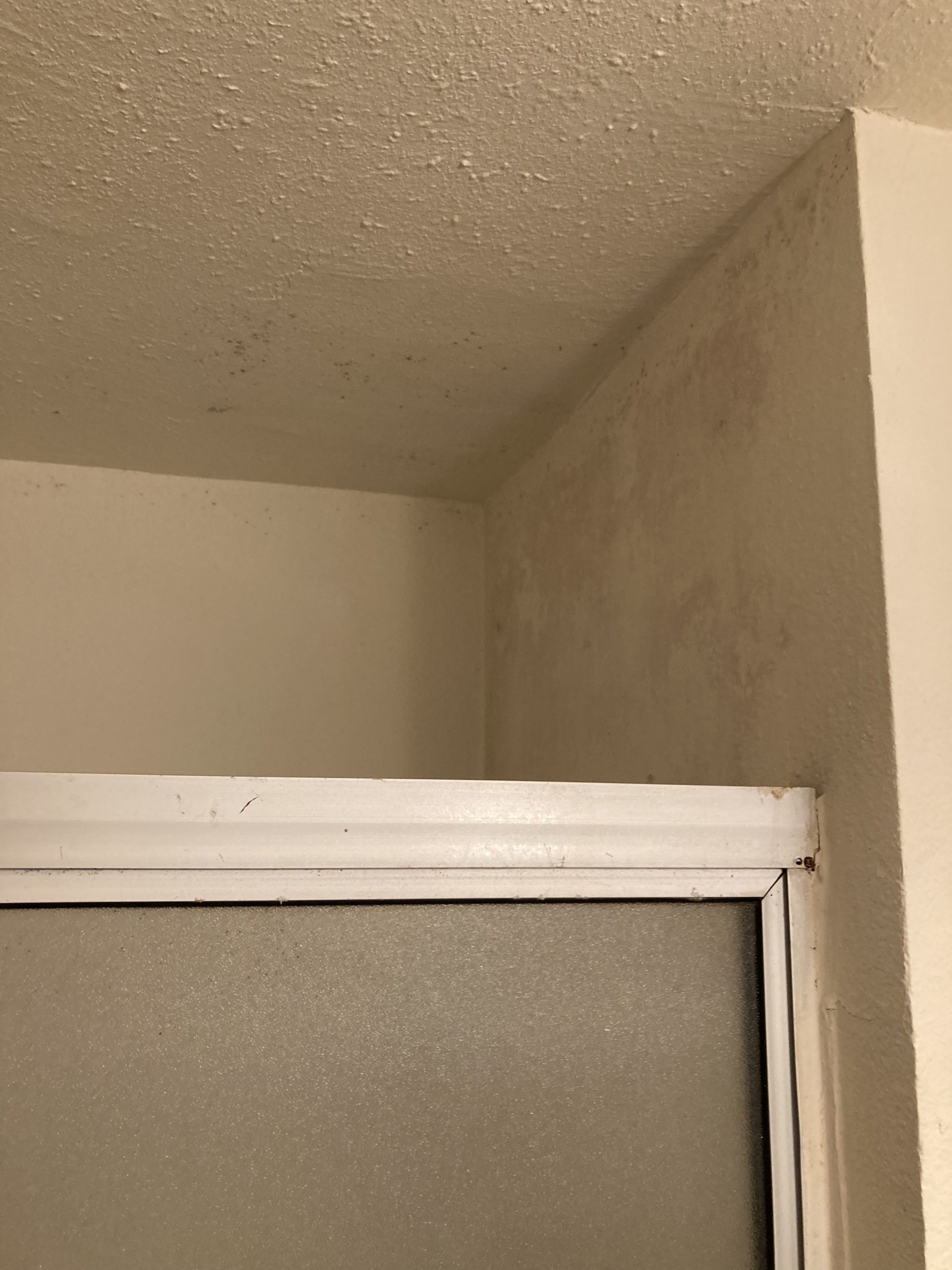 Is bathroom mold dangerous?