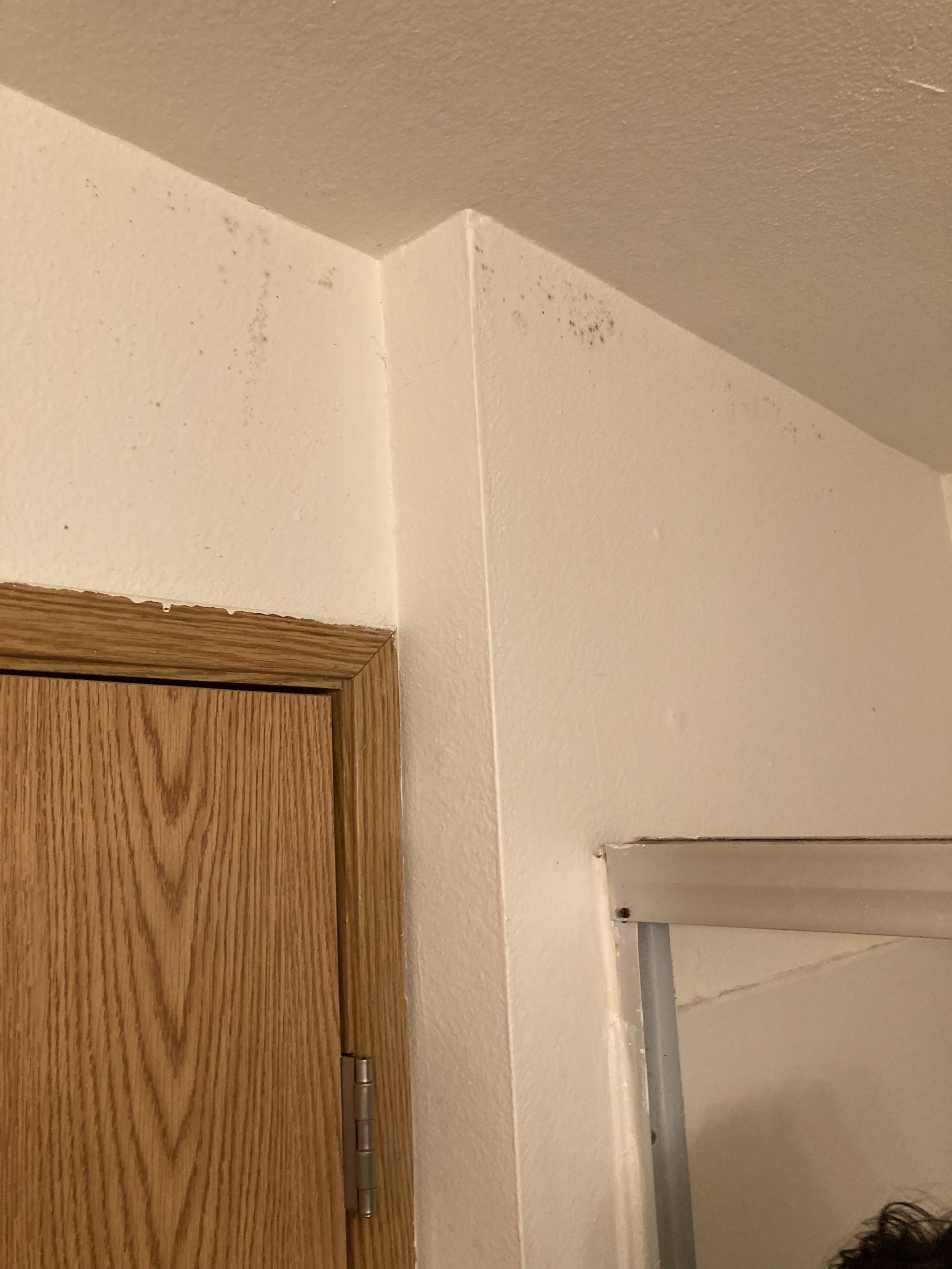 How To Know If You Have Mold In Walls How do I know if mold is behind my drywall? - 5 Microns Inc