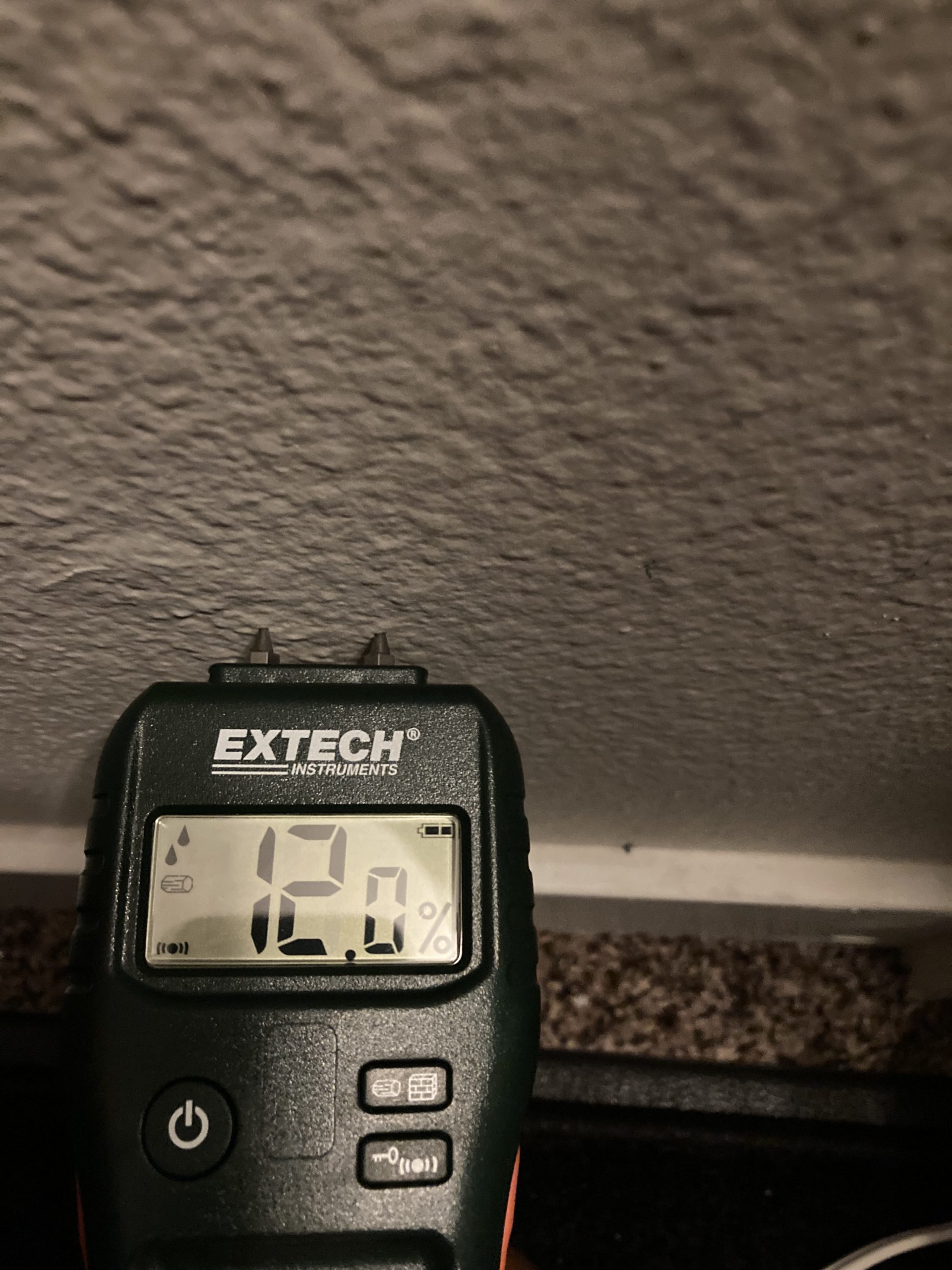 Is a mold inspection worth it?