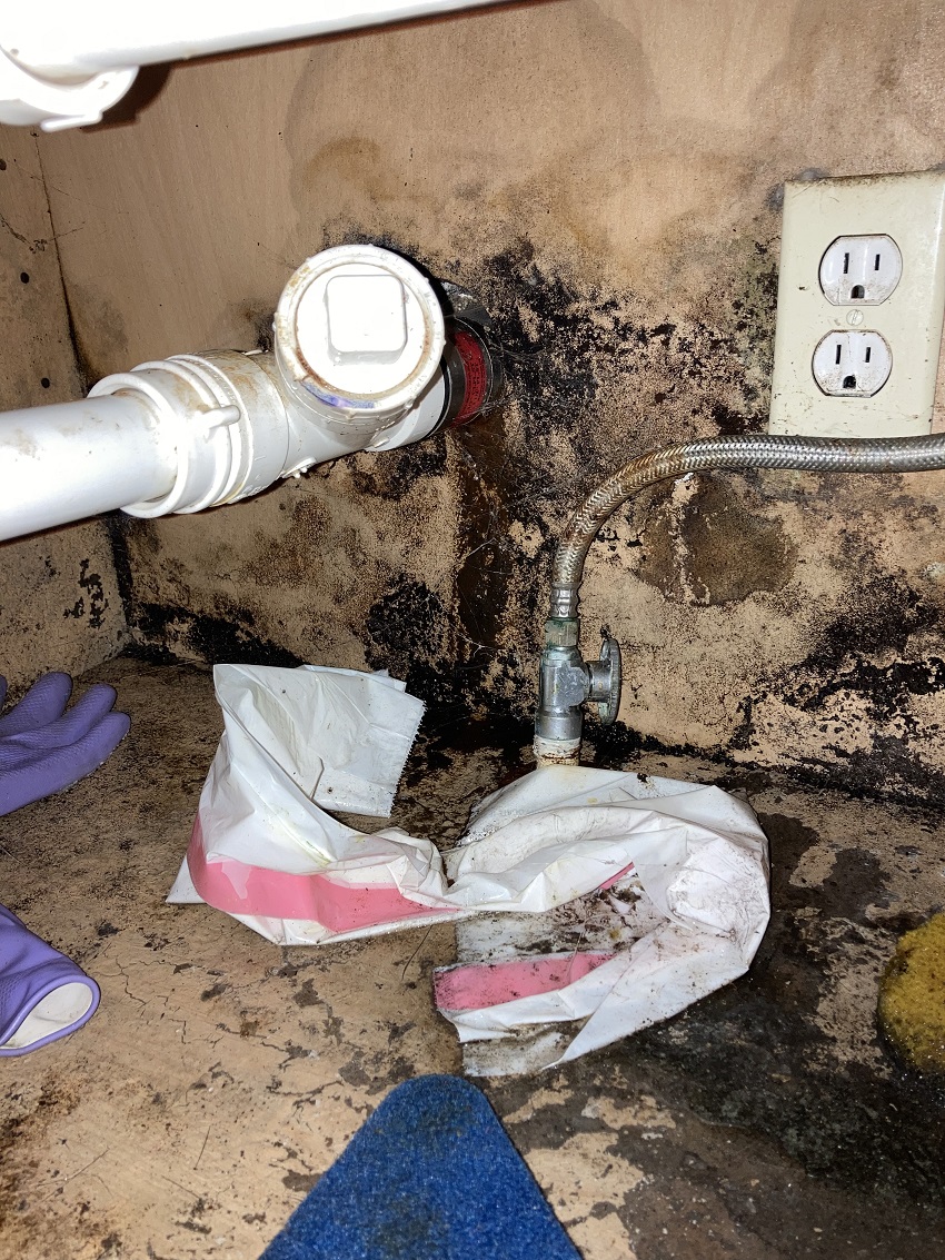 How do you check for mold in the kitchen?
