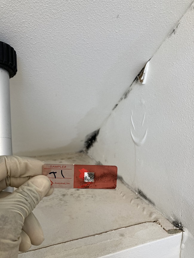 Is it bad to have mold on your ceiling?
