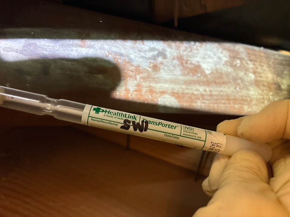 Mold Testing & Inspection in Miami, FL